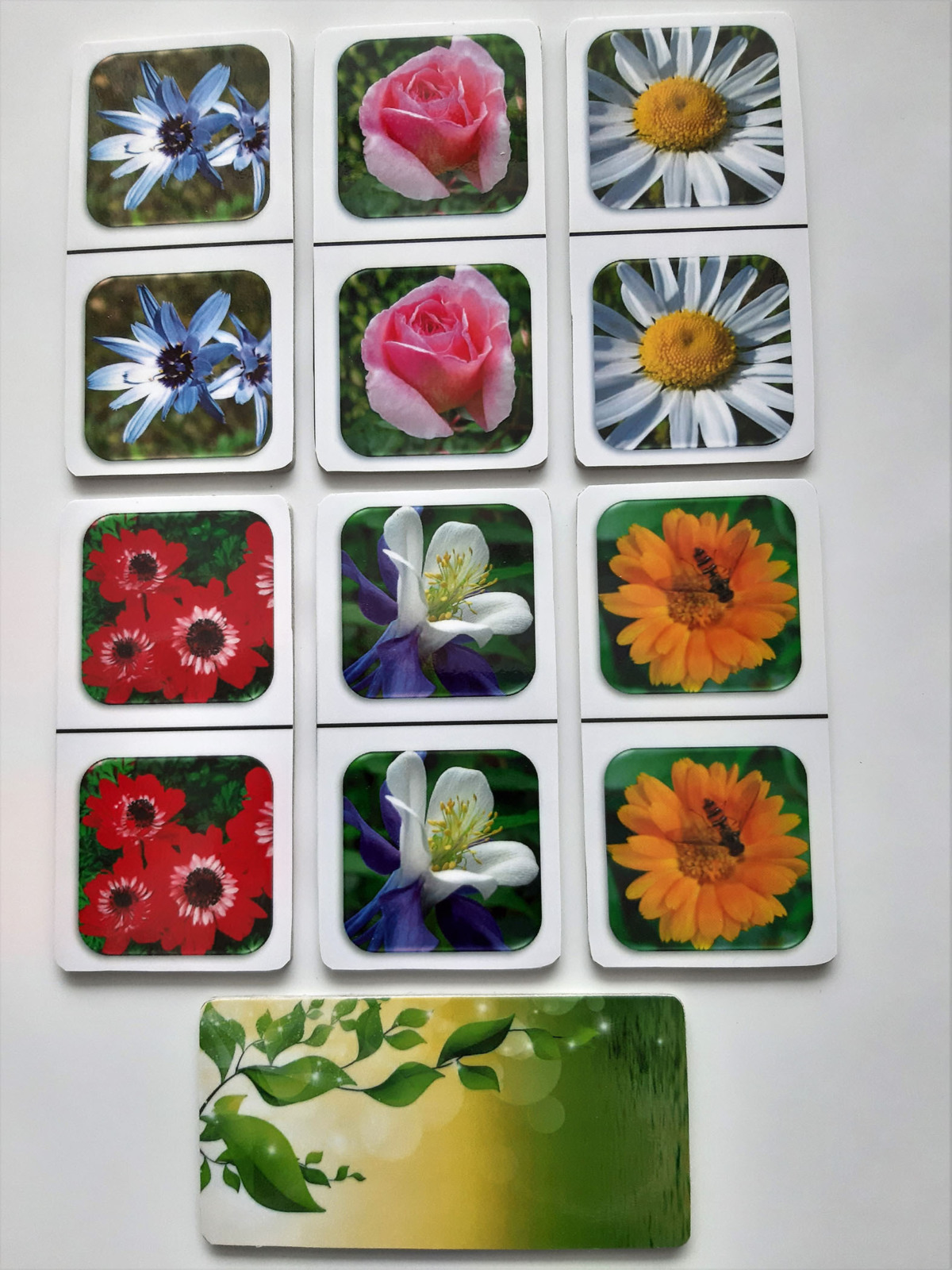 FotoDomino_Bloemen_2e_1.jpg