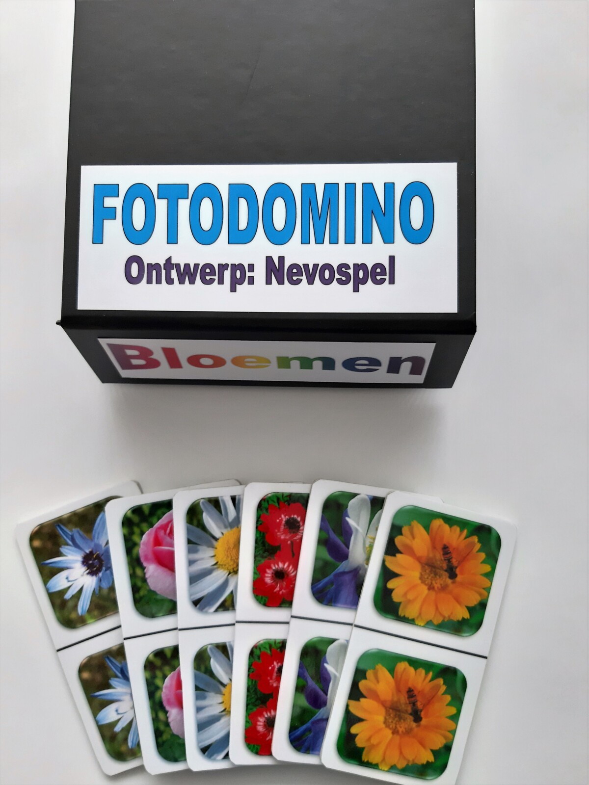 FotoDomino_Bloemen_1e_2.jpg