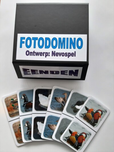 FotoDomino_Eenden_1e.jpg