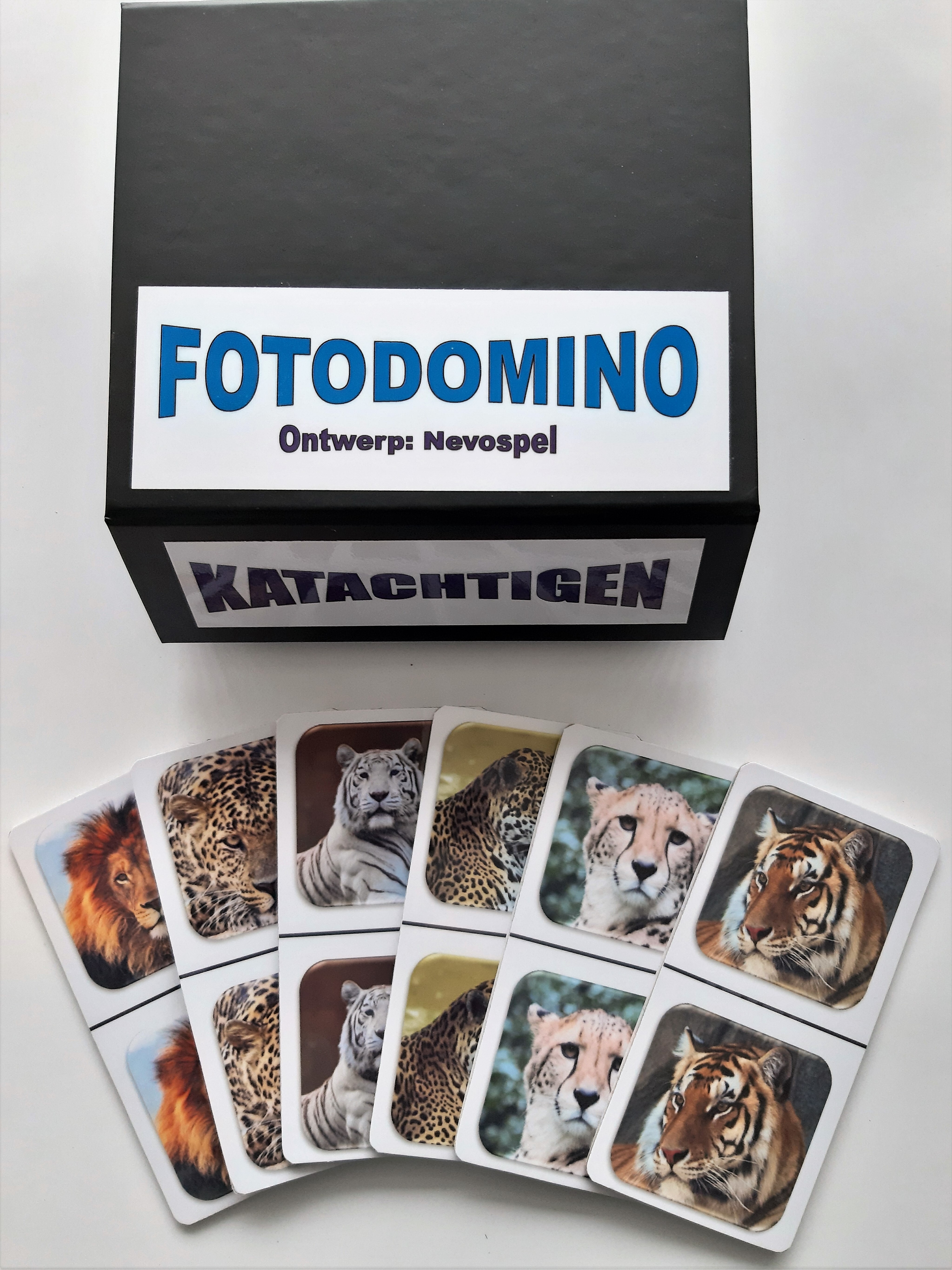 FotoDomino_Katachtigen_1e.jpg
