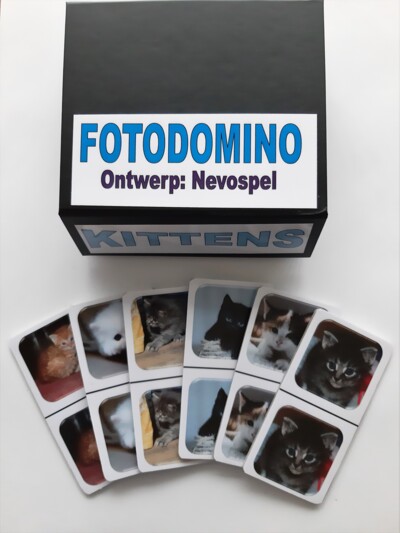 FotoDomino_Kittens_1e.jpg