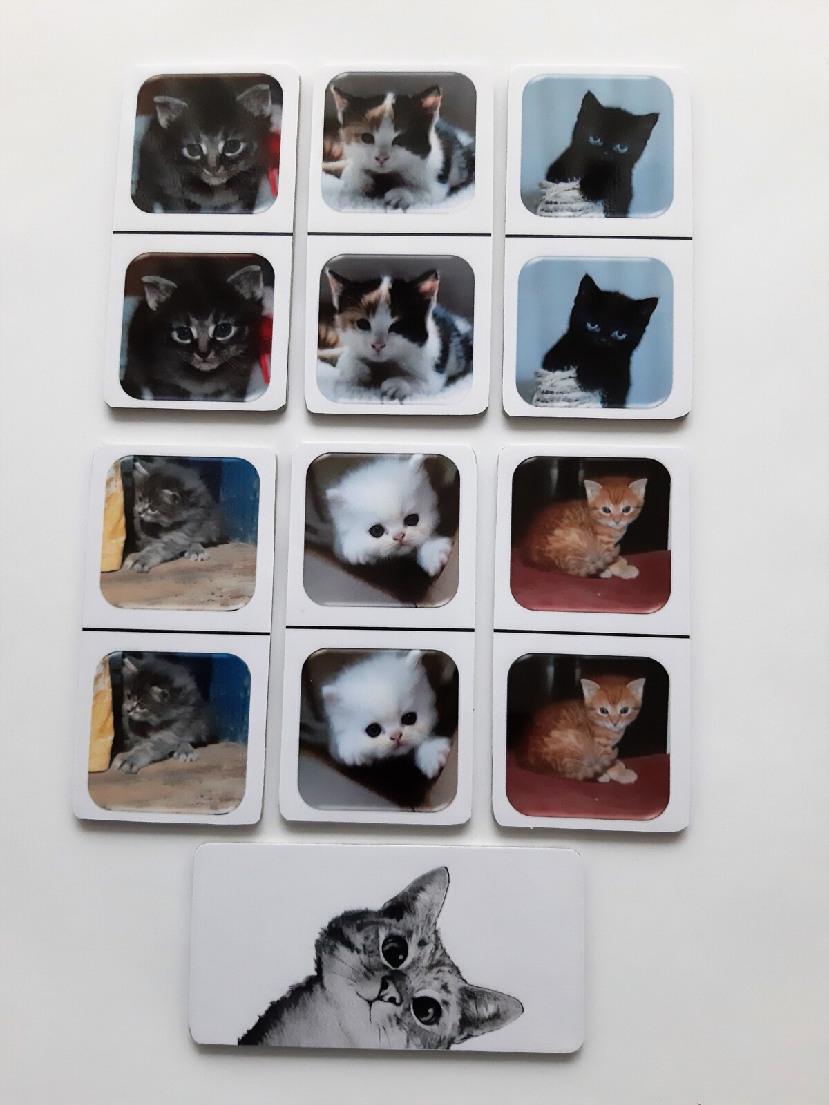 FotoDomino_Kittens_2e.jpg