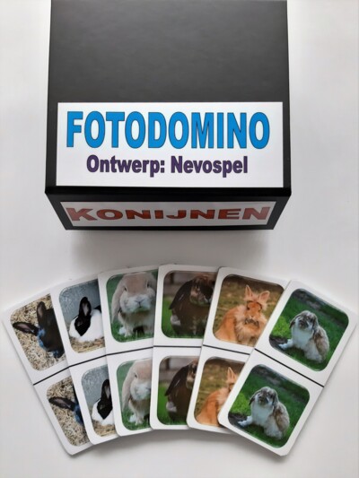 FotoDomino_Konijnen_1e.jpg