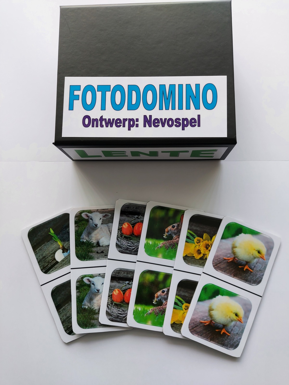 FotoDomino_Lente_1e.jpg