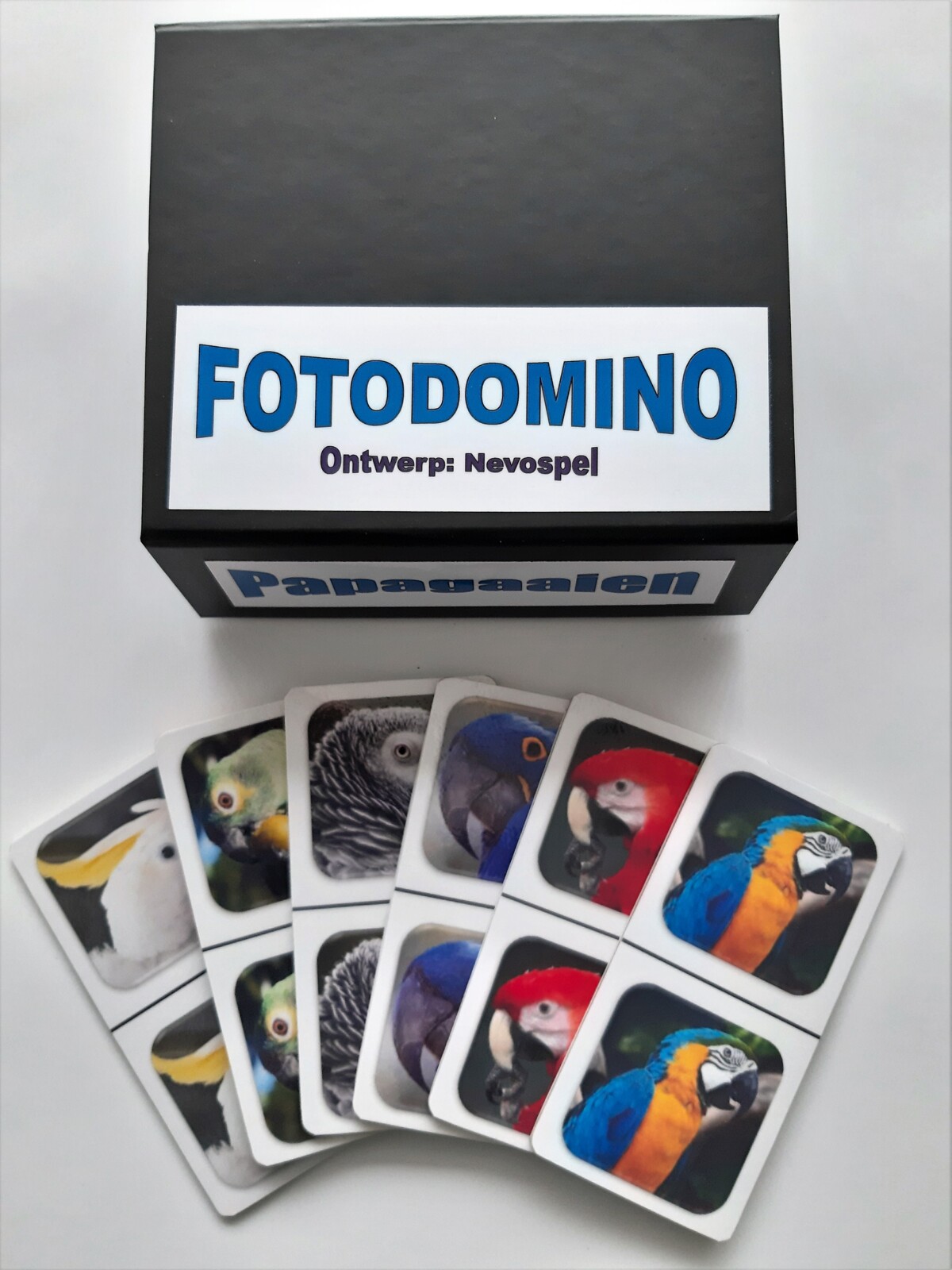 FotoDomino_Papagaaien_1e.jpg