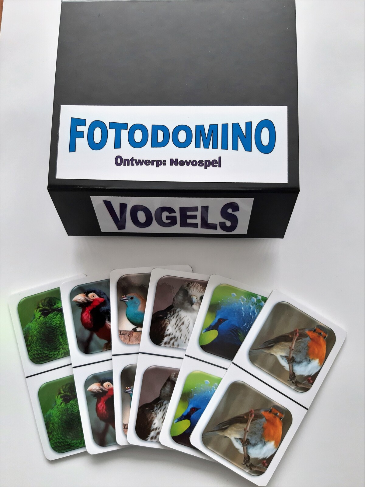 FotoDomino_Vogels_1e.jpg