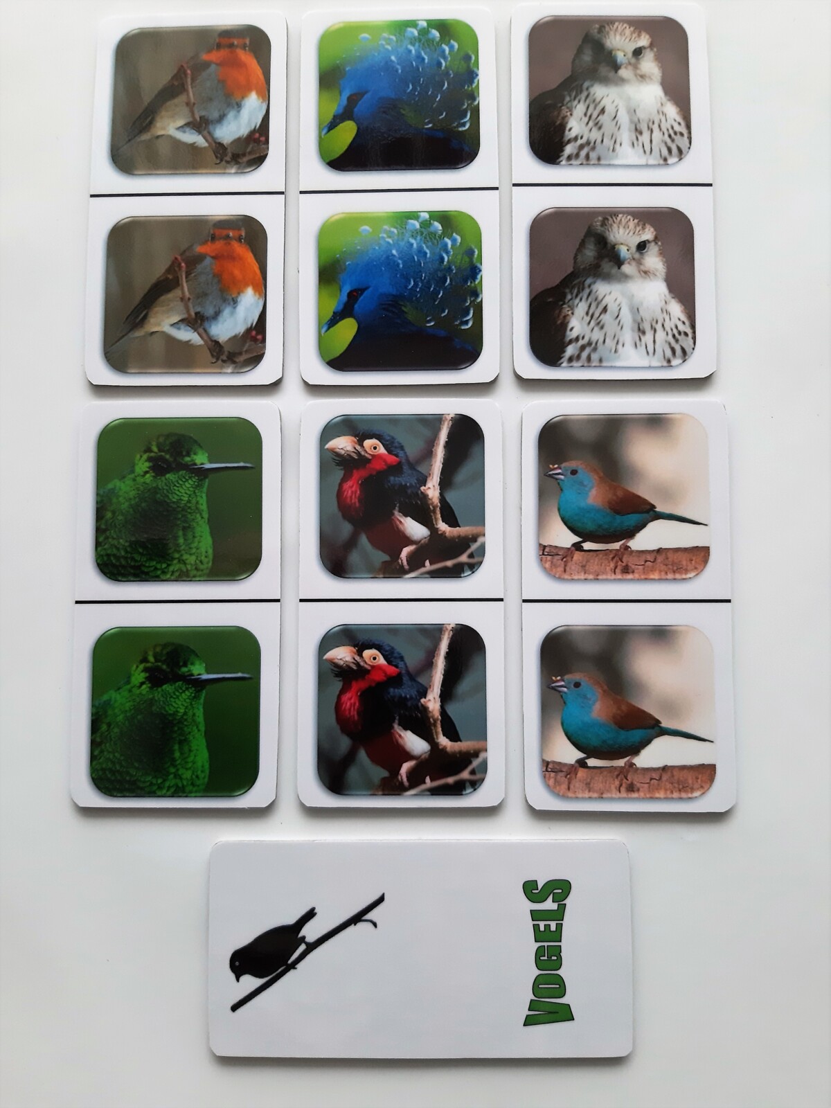 FotoDomino_Vogels_2e.jpg